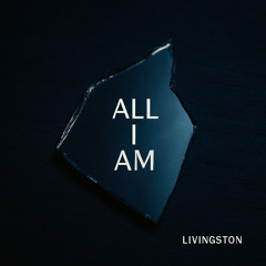 All I Am