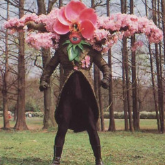 24_10_CRUISIN' TO THE PARQUE