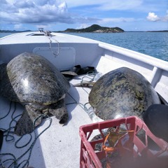 🔥💃(THE KEY) 🍓 [REMIX 2021].🎶🍻