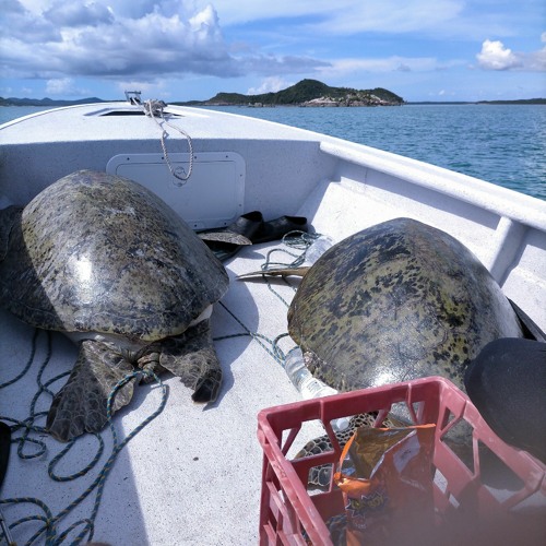 🔥💃(THE KEY) 🍓 [REMIX 2021].🎶🍻