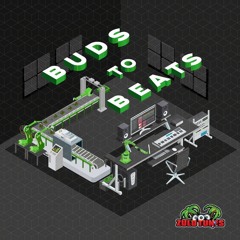 Irregule (VA- Buds to Beats)