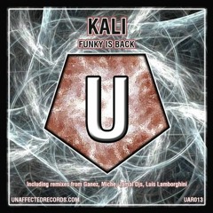 Kali - Funky is Back (Luis Lamborghini remix)  [UAR013]