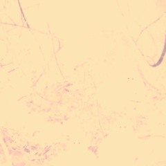 Can't Visualize (Deep Mix) - Mai 2023