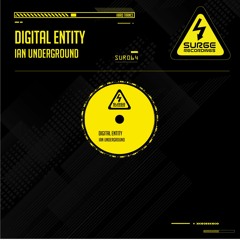 SUR064 Ian Underground - Digital Entity OUT NOW