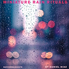 Miniature Rain Rituals (naviarhaiku379)