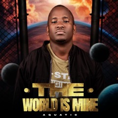 02. Aquatic - The World Is Mine (Funky Mix).mp3