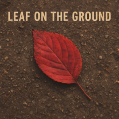Leaf On The Ground