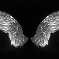 overcomplicated w/ wooly mo (est. 2k22)