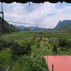 No name - Thắng