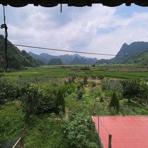 No name - Thắng