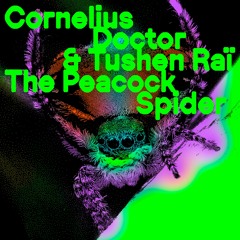 Cornelius Doctor & Tushen Raï - The Peacock Spider EP (Permanent Vacation)