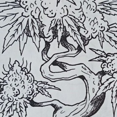 A very Twisted Morning (Twisted Frequency 2021)