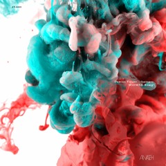[PREMIERE] | Damian Vargas - Protio (MSDMNR Remix) [ANA088]