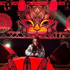 01 Dina - Melodic Madness #001 - [Set Mix]