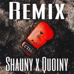 Can’t Tell It All - Remix by Quoiny, Shauny
