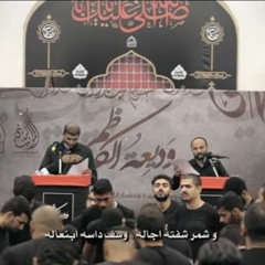 على لسان زينب  - محمد بومره ومهدي الخاطر - استشهاد السيدة فاطمة المعصومة 1440 هـ