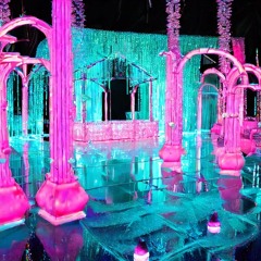 Frozen Wonderland