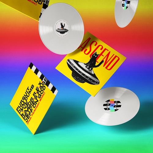 2. Modelle - DUM DUMB