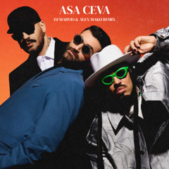Alex Velea x Connect-R x Smiley - Asa Ceva (Dj Marvio &  Alex Mako Remix)