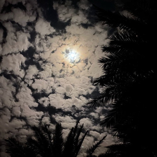 حبيتك قد الحُب اللي في كل العالم .