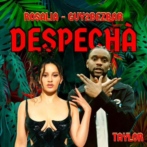 GUY2BEZBAR X ROSALIA - DESPECHA TAYLOR REMIX