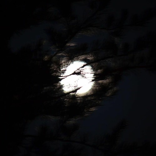 Silberblau (for solo guitar, electronics and light) [2020]