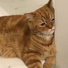 EVERGLOW (에버글로우) - DUN DUN  [Thai Ver.] cover by Xion1502