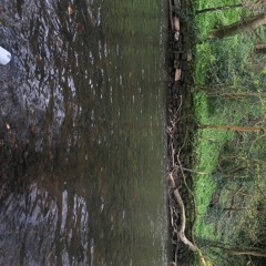 The River Chimes In (disquiet0484)