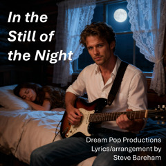 In the Still of the Night