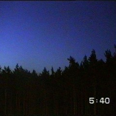 Lost On A Forest Path