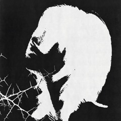 LIZER - Без последствий