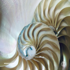 PREMIERE: AMAYLIA043 - Fento