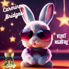 Carmine Bridges - Velvet Nightfall (Mr Silky's LoFi Beats)
