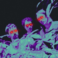 start_up // live @ Paard