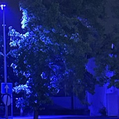 per non sentire freddo