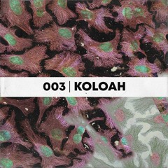 ICKPA 003 - KOLOAH