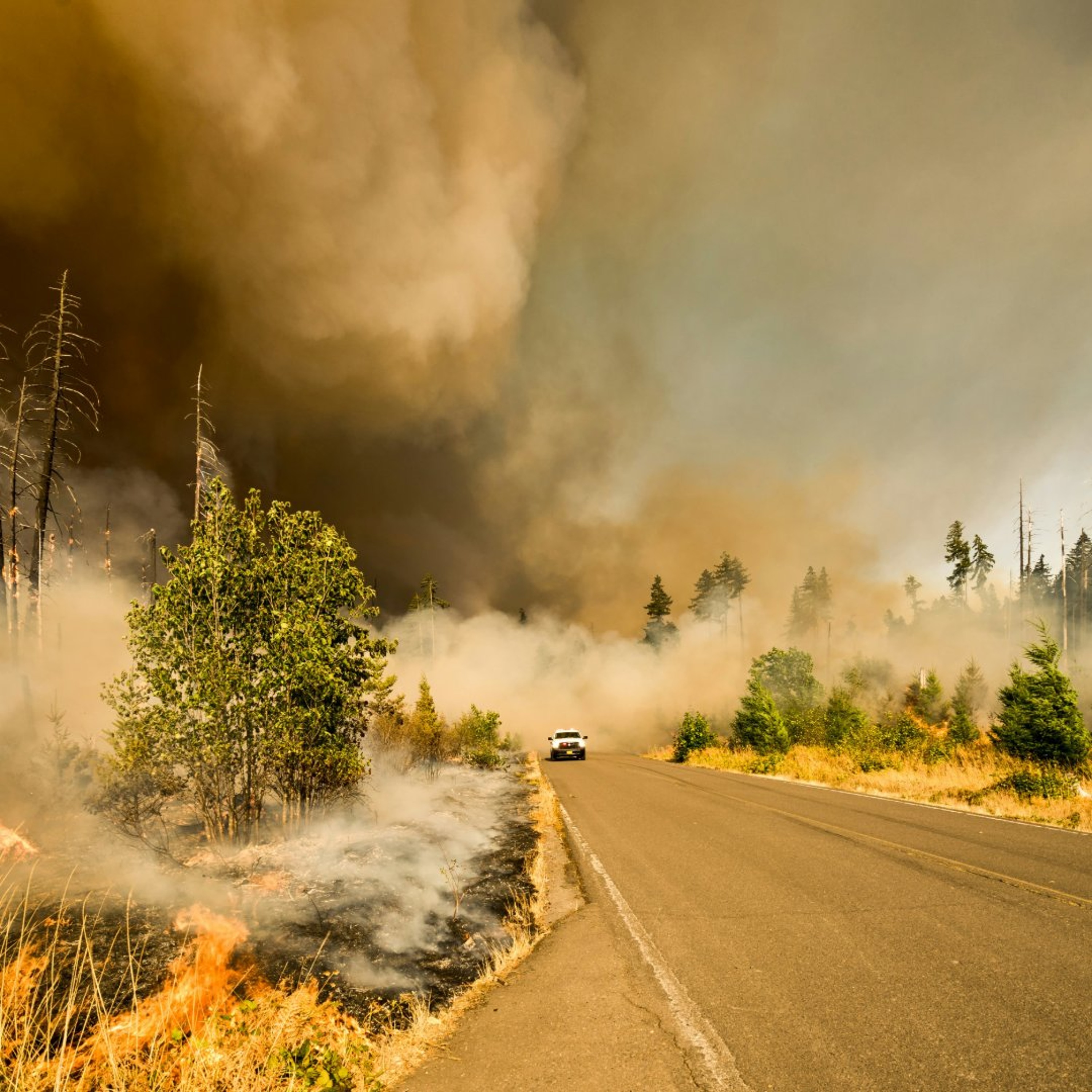 Drought, wildfire smoke challenges American agriculture