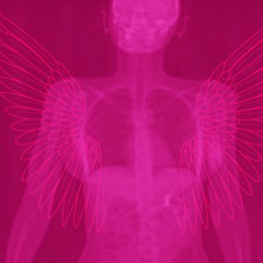 WHAT THEY WANT WHAT THEY NEED - (NILA X SUGAR WOLF)