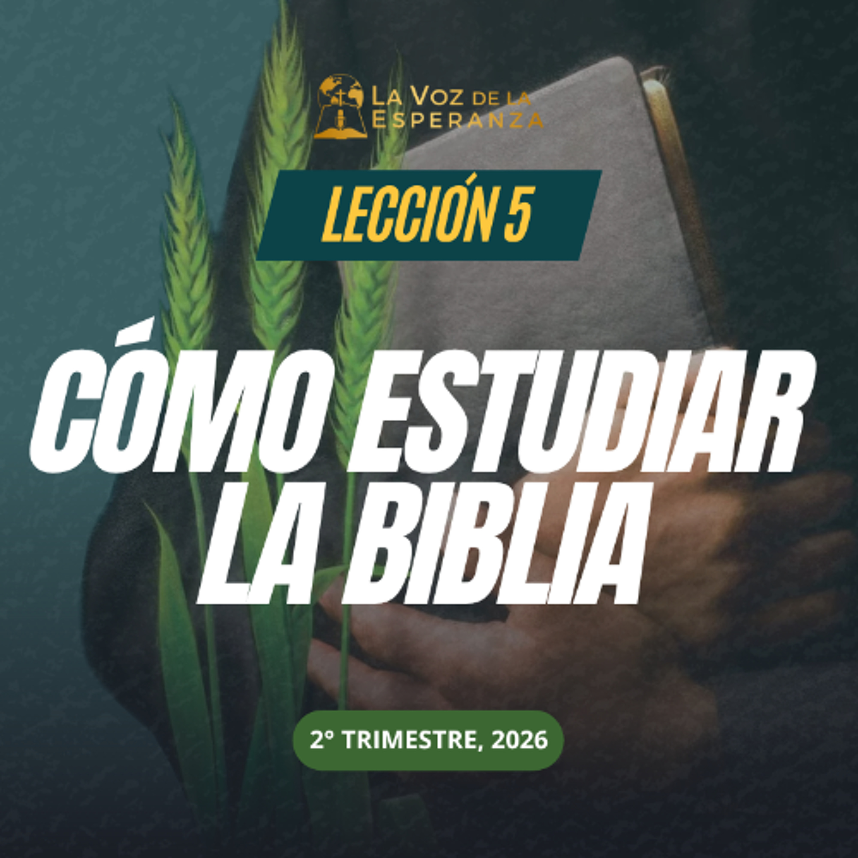 Lección 05 - Cómo estudiar la Biblia