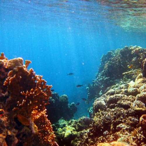 เเจ็คซ์ epic background music (FREE DOWNLOAD)