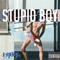 Stupid Boy (Prod. Kuroime)