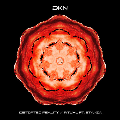 DKN - Distorted Reality