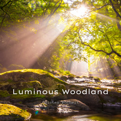 Luminous Woodland