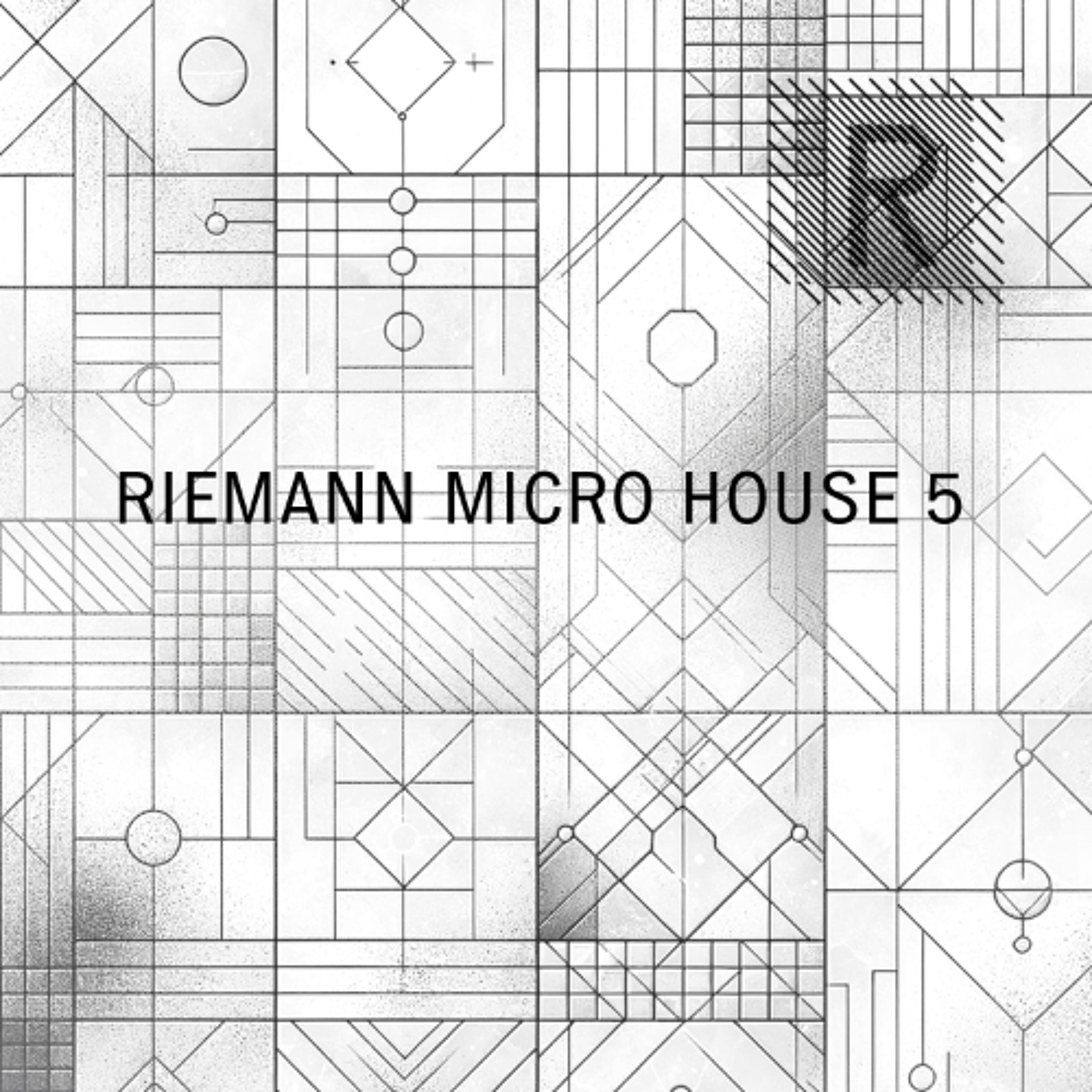 Riemann Micro House 5 (Sample Pack Demo Song) episode artwork