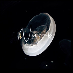 Numb (original)