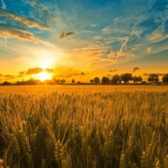 oleksandr_oleshchuk - як умру, то поховайте мене на могилі