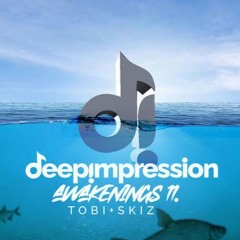 Skiz - Deepimpression Awakening Vol. 11