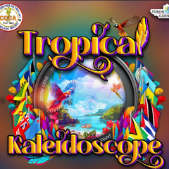 🔥Tropical vibes Carnival 2025 warmup mix 🔥