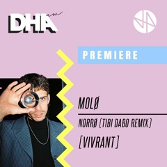 Premiere: MOLØ - Norrø (Tibi Dabo Remix) [Vivrant]