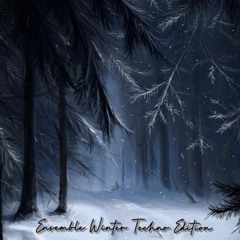 Ensemble Winter Techno Edition b2b Stormasound